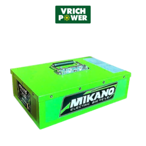 Pin lithium xe điện 48V 20Ah